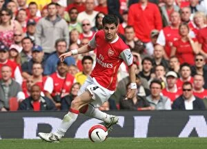 Images Dated 8th May 2007: Cesc Fabregas (Arsenal)