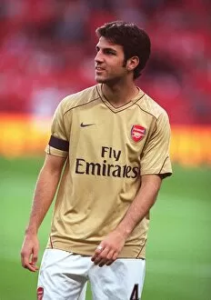 Images Dated 30th August 2007: Cesc Fabregas (Arsenal)