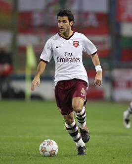 Images Dated 3rd October 2007: Cesc Fabregas (Arsenal)
