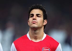 Images Dated 29th October 2007: Cesc Fabregas (Arsenal)