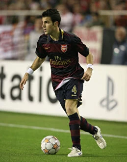 Images Dated 28th November 2007: Cesc Fabregas (Arsenal)