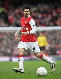 Images Dated 28th January 2008: Cesc Fabregas (Arsenal)