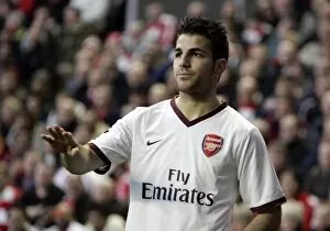 Images Dated 9th April 2008: Cesc Fabregas (Arsenal)