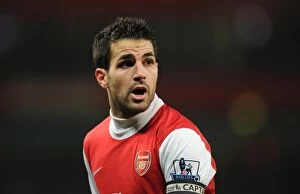Images Dated 5th January 2011: Cesc Fabregas (Arsenal). Arsenal 0: 0 Manchester City. Barclays Premier League