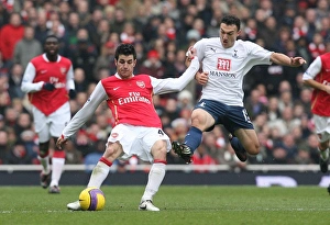 Cesc Fabregas (Arsenal) Steed Malbranque (Spurs) Cesc Fabregas (Arsenal) Steed Malbranque (Spurs)