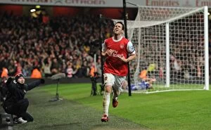 Images Dated 25th January 2011: Cesc Fabregas celebrates scoring the 3rd Arsenal goal. Arsenal 3: 0 Ipswich Town (3: 1 agg)