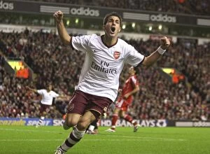 Images Dated 29th October 2007: Cesc Fabregas celebrates scoring the Arsenal goal
