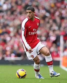 Images Dated 28th February 2009: Denilson (Arsenal)