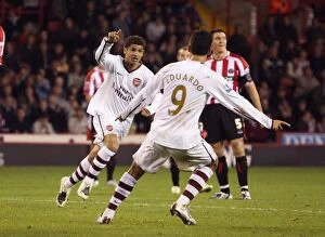 Images Dated 1st November 2007: Denilson celebrates scoring Arsenals 3rd goal with Eduardo