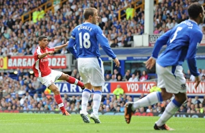 Denilson shoots past Everton goalkeeper Tim Howard Denilson shoots past Everton goalkeeper Tim Howard