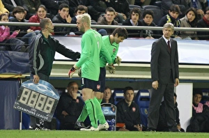 Injured Arsenal goalkeeper Manuel Almunia is replaced Injured Arsenal goalkeeper Manuel Almunia is replaced