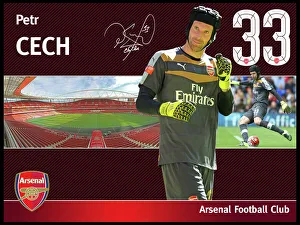 Petr Cech Framed Player Profile Petr Cech Framed Player Profile