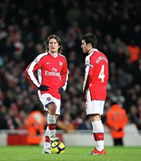 Images Dated 20th January 2010: Tomas Rosicky and Cesc Fabregas (Arsenal). Arsenal 4: 2 Bolton Wanderers