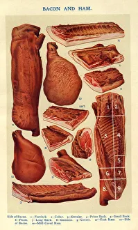 Isabella Gallery: Bacon and Ham 1900s UK Isabella Beeton meat Mrs BeetonA┬òs Book of Household Management