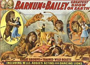 Images Dated 16th February 2009: Barnum & Baileys 1915 1910s USA performers Dancing Lions Baileys lion tamers women