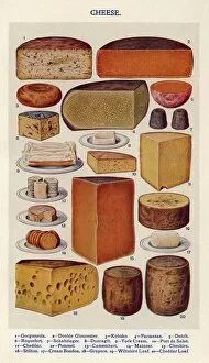 Isabella Gallery: Cheese 1900s UK Isabella Beeton Mrs BeetonA┬òs Book of Household Management cooking