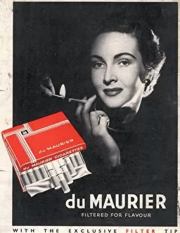 Adverts Collection: Du Maurier 1950s UK cigarettes smoking glamour