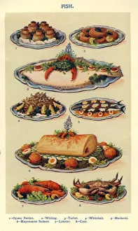 Isabella Gallery: Fish 1900s UK Isabella Beeton Mrs Beetons Book of Household Management cooking