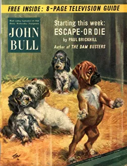 John Bull 1952 1950s UK dogs pet shops pets magazines John Bull 1952 1950s UK dogs pet shops pets magazines