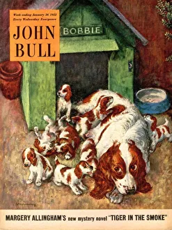 John Bull 1952 1950s UK dogs puppies pets magazines puppyAs John Bull 1952 1950s UK dogs puppies pets magazines puppyAs