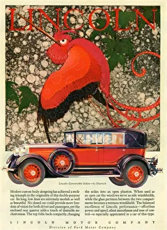 Lincoln 1928 1920s USA cc cars birds exotic Lincoln 1928 1920s USA cc cars birds exotic