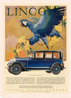 Lincoln 1928 1920s USA cc cars parrots birds Lincoln 1928 1920s USA cc cars parrots birds
