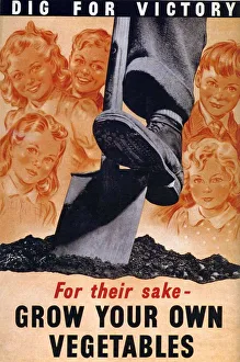 Ministry of Agriculture 1940s UK spades digging dig for victory WW2 grow your own Ministry of Agriculture 1940s UK spades digging dig for victory WW2 grow your own