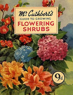 Mr Cuthberts Guide To Flowering 1953 1950s UK mcitnt flowers seeds flowers CuthbertAs Mr Cuthberts Guide To Flowering 1953 1950s UK mcitnt flowers seeds flowers CuthbertAs