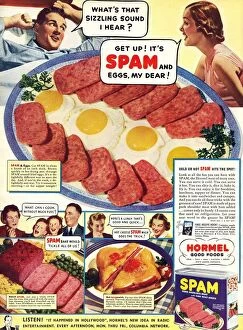 Images Dated 30th January 2009: Spam 1960s USA Hormel meat tinned disgusting food breakfasts meals meals canned cans