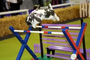 Weird, Wild and Wonderful pets at the London Pet Show, Earls Court, London