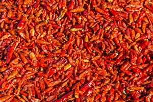 Chillies on sale at Les Saintes Maries de la Mer in France Chillies on sale at Les Saintes Maries de la Mer in France