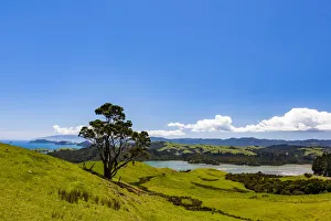 Coastal scenery at Manaia in Waikato, New Zealand Coastal scenery at Manaia in Waikato, New Zealand