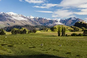 Farmland near Lake Wanaka in Otago, New Zealand Farmland near Lake Wanaka in Otago, New Zealand