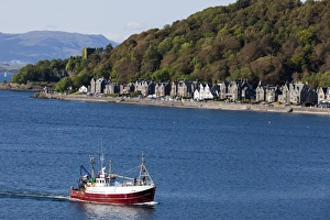 A fishing boat at Oban in Argyll and Bute, Scotland A fishing boat at Oban in Argyll and Bute, Scotland