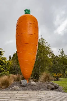 New zealand/manawatu wanganui/giant carrot sculpture ohakune manawatu wanganui New zealand/manawatu wanganui/giant carrot sculpture ohakune manawatu wanganui
