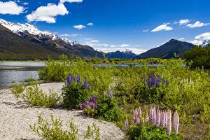 Glenorchy Gallery: Lake Wakatipu at Glenorchy in Otago, New Zealand