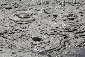 Bay of Plenty Gallery: A mud pool in an active volcanic area at Te Puia in Roturua, Bay of Plenty, in New Zealand