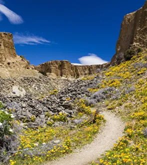 A path through the countryside near Bannockburn in Otago, New Zealand