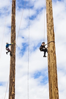 A tree trunk climbing competition A tree trunk climbing competition