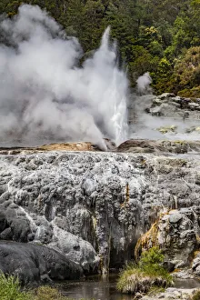 Vapour rising from an active volcanic area at Te Puia in Roturua, Bay of Plenty, in New Zealand Vapour rising from an active volcanic area at Te Puia in Roturua, Bay of Plenty, in New Zealand