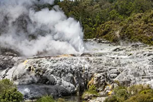 Bay of Plenty Gallery: Vapour rising from an active volcanic area at Te Puia in Roturua, Bay of Plenty, in New Zealand