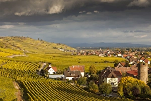 Vineyards above the village of Kaysersberg, France Vineyards above the village of Kaysersberg, France