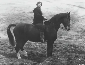 Prints of Alan Bates in Far From The Madding Crowd H Prints: Alan Bates in Far From The Madding Crowd 1967 StudioCANAL Print
