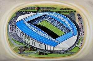 Stadium Art Gallery: The Amex Stadia Art - Brighton & Hove Albion F.C