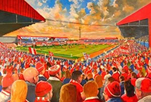 Fine Art Collection: Ayresome Park Stadium Fine Art - Middlesbrough Football Club