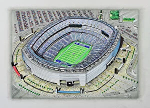 Images Dated 6th December 2013: MetLife Stadium Art - New York Giants