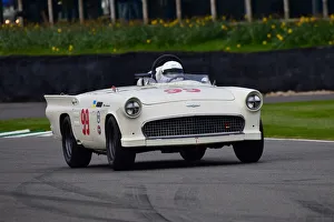 CJ10 7227 Bill Shepherd, Ford Thunderbird, Battlebird CJ10 7227 Bill Shepherd, Ford Thunderbird, Battlebird