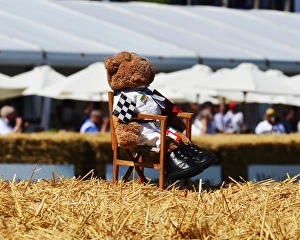 <b class=qtipBold><figcaption>CJ6 8902 Bear in boots</figcaption></b><br>Bear in boots, Goodwood Festival of Speed, 2017, Peaks of Performance, Motorsports Game Changers, automobiles, cars, entertainment, Festival of Speed, FoS, Goodwood, heritage, contemporary, modern, hill climb, July, June, motor sport, motorcars, nostalgia, racing, speed, sports, West Sussex.<br><em>© 2017 Chris McEvoy, www.cjm-photography.co.uk, all rights reserved</em> CJ6 8902 Bear in boots
