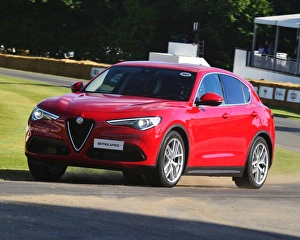 <b class=qtipBold><figcaption>CJ6 9076 Alfa Romeo Stelvio</figcaption></b><br>Alfa Romeo Stelvio, Goodwood Festival of Speed, 2017, Peaks of Performance, Motorsports Game Changers, automobiles, cars, entertainment, Festival of Speed, FoS, Goodwood, heritage, contemporary, modern, hill climb, July, June, motor sport, motorcars, nostalgia, racing, speed, sports, West Sussex.<br><em>© 2017 Chris McEvoy, www.cjm-photography.co.uk, all rights reserved</em> CJ6 9076 Alfa Romeo Stelvio