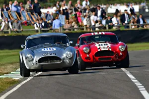 CJ9 8847 Marino Franchitti, Phillip Kadoorie, AC Cobra, Sam Hancock, Gregor Fisken CJ9 8847 Marino Franchitti, Phillip Kadoorie, AC Cobra, Sam Hancock, Gregor Fisken